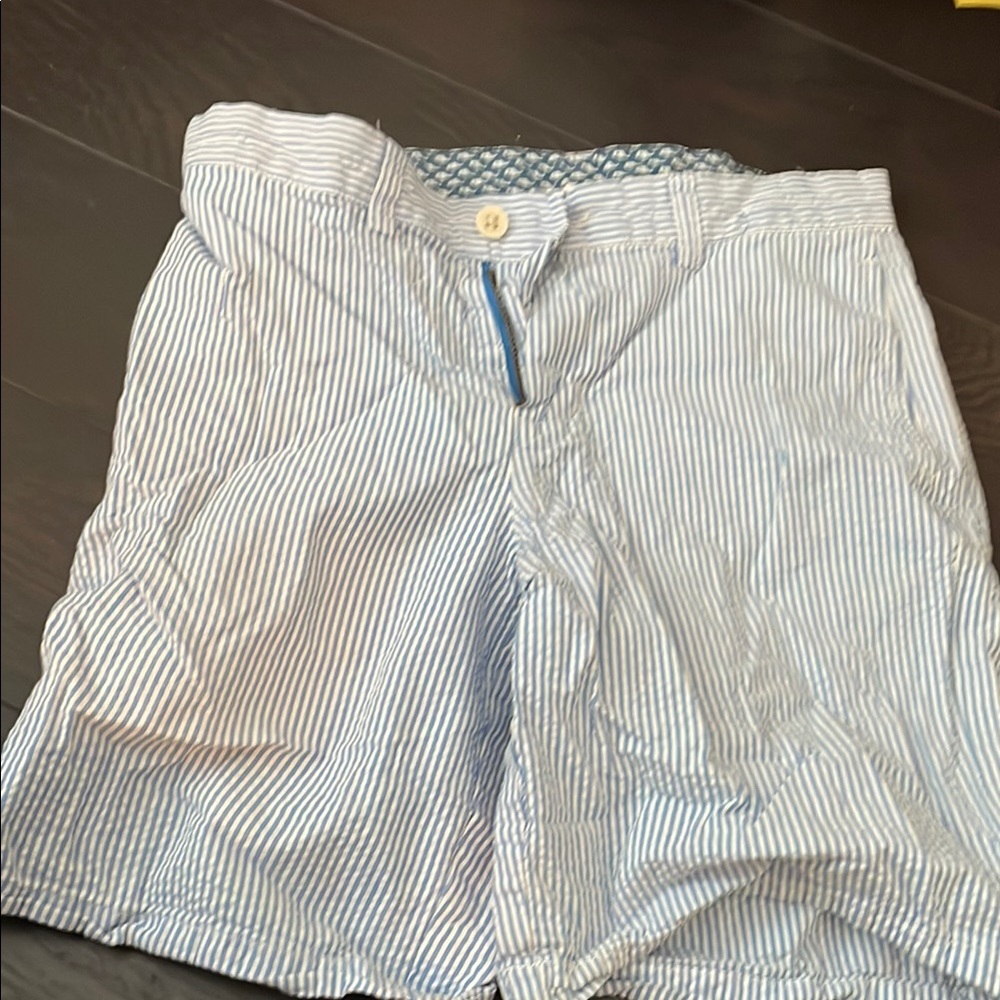 Blue and White Striped Shorts